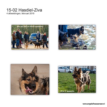 Foto's van Ziva in januari en februari, met 11 en 12 maanden